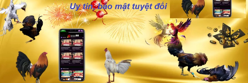 Uy tín, bảo mật tuyệt đối - Đá gà trực tiếp