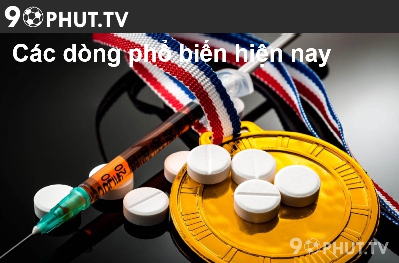Các dòng phổ biến hiện nay
