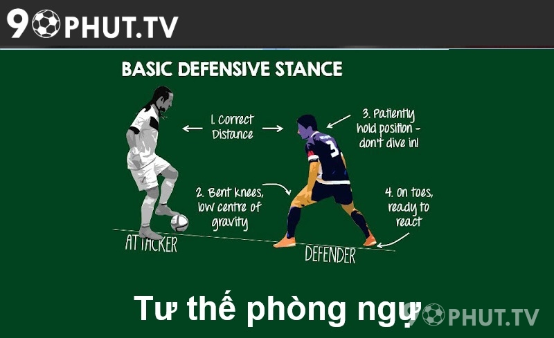 Tư thế phòng ngự